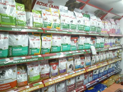 Sklep Zoologiczny Ełk - AGAMA